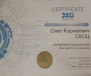 Первичная эндодонтия