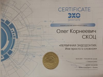 Первичная эндодонтия