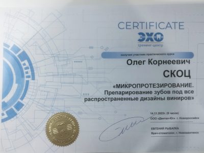 виниры 2